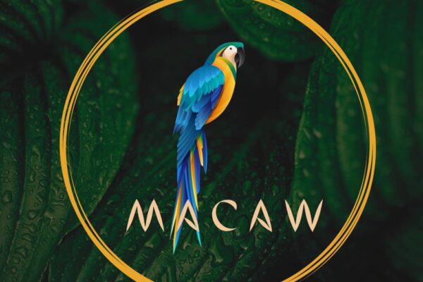 Macaw Cocktail Bar