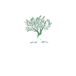 Eleonas View Suites